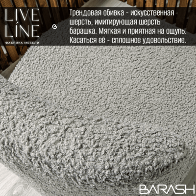 BARASH св-сер 3